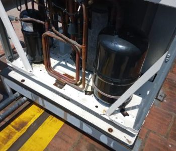 WhatsApp Image 2025-07-13 at 3.53.44 PM (1)